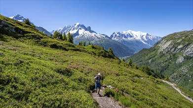 Mountaineer on hiking trail, mountain panorama with glaciated mountain peaks, Aiguille Verte with