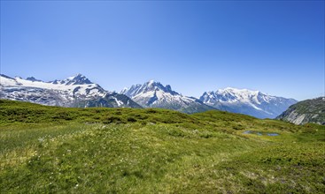 Mountain panorama with glaciated mountain peaks, Aiguille de Chardonnet with Glacier du Tour,