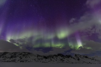 Green and purple northern lights, aurora borealis over snowy mountains, volcanic, winter, moon,