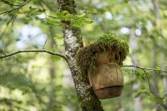 Bird house, forest, Baden-Württemberg, Germany, Europe