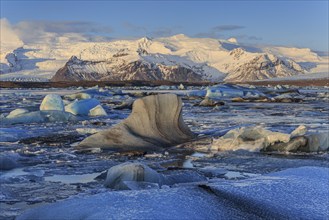 Ice floes in sea in front of glacier and mountains, morning light, Jökulsarlon, Vatnajökull,