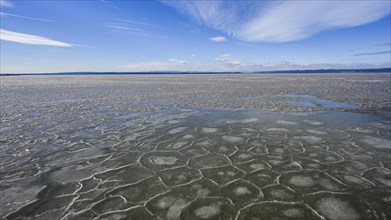 Frozen lake, ice and structures, Podersdorf am See, Lake Neusiedl, Burgenland, Austria, Europe