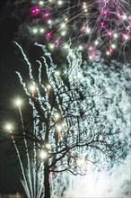 Tree fireworks