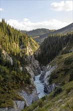 Mountain landscape with river in a narrow mountain valley in autumn, Little Naryn or Kichi-Naryn,