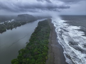 Aerial view, beach and sea, coast with rainforest, Tortuguero National Park, Costa Rica, Central