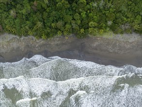 Top-down, aerial view, beach and sea, coast with rainforest, Tortuguero National Park, Costa Rica,