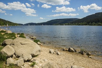 Lake in the mountains and beach in summer, Schluchsee, Black Forest, Baden-Württemberg, Germany,