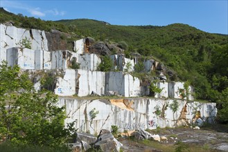 Abandoned quarry with white rock walls surrounded by trees, Kavala, Dímos Kaválas, Eastern