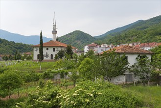 Rural scene with mosque and minaret in the foreground, surrounded by lush vegetation and mountains,