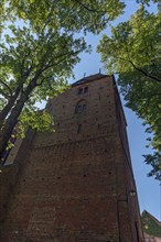 Church of the former convent of the Benedictine nuns 13th century, Kirchpl. 1A, Rehna,