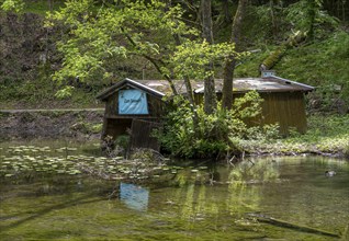 Small pond with dilapidated wooden shed in the water, Bad Reichenhall, Bavaria, Germany, Europe