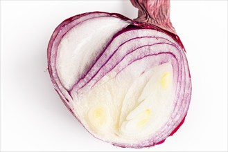 A halved red common onion (Allium cepa) on a white background, with distinct layers