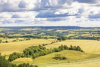 Rural view at a patchwork landscape with cultivated fields and tree groves in late summer, Sweden,