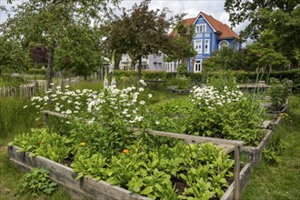 Planting beds in the park at the mill, Wyk, Föhr, North Sea island, North Frisia,