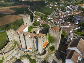 Aerial view of an imposing castle and a surrounding city wall enclosing a medieval town, town,