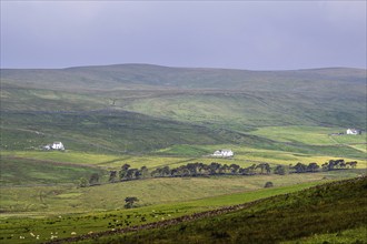 Farms over Upper Teesdale and River Tees, Forest-in-Teesdale village, County Durham and Cumbria,