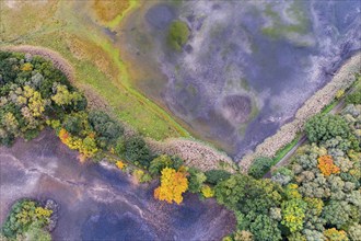 Mixed forest in autumn, colouring, aerial view, forest, autumnal, Ahlhroner Fischteiche,