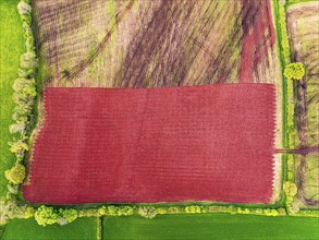 Top Down over Fields and farms from a drone, Torquay, Devon, England, United Kingdom, Europe