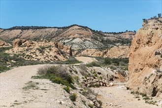 Dry dirt track winds through rocky landscape with hills and vegetation, Bardenas Reales Natural