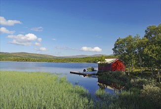 Red hut on a quiet lakeshore with grassy banks and trees, blue sky, idyll, Glomma, Röros,