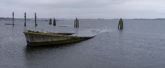 Ship's bow in the Bodden, Dranske, Rügen, Mecklenburg-Western Pomerania, Germany, Europe