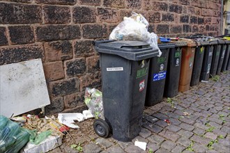 Overfilled rubbish bins on the street, environment, environmental pollution, Speyer,