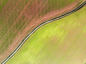 Top Down over Fields and Farms from a drone, Devon, England, United Kingdom, Europe