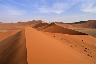 On the Dune 45, Namib Desert, Namibia, Africa