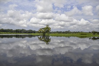 Waterscape on the Akaka River, Loango National Park, Parc National de Loango, Ogooué-Maritime