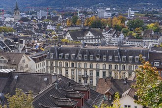 Bird's eye view of city with various buildings and autumn leaves, Zurich, Switzerland, Europe