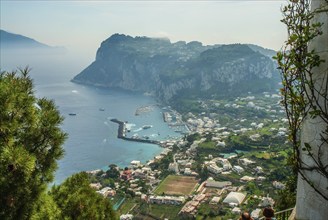 View of the coast and Marina Grande, Island of Capri, Gulf of Naples, Campania, Mediterranean Sea,