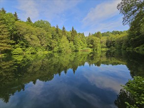 Tranquil basalt lake with trees reflected in the water, summer, basalt lake, Oberelsbach, Rhön,