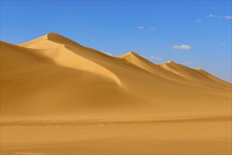 Endless sand dunes under a clear blue sky with few clouds, Matruh, Great Sand Sea, Libyan Desert,