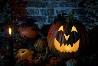 Glowing Halloween pumpkin, surrounded by a candle and various decorative pumpkins