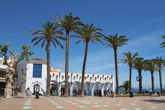 Sunny square with tall palm trees, white buildings and views of the sea under a clear blue sky,