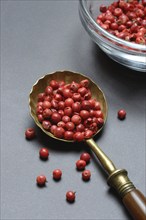 Pink Pepper berries, Red Pepper in spoon, Schinus berries