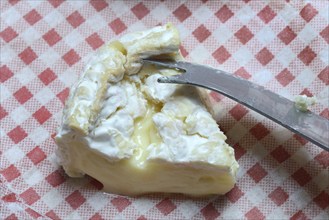 French Camembert, sliced cheese, France, Europe