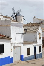 Small street with white and blue houses and a traditional windmill in the background, Campo de