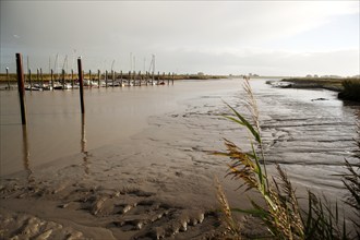 Low water, Ems, silt inflow, ferry harbour, Petkum, East Frisia, Germany, Europe