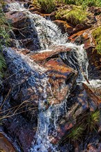 Water flowing over rocks and through vegetation in the mountains of the state of Minas Gerais,