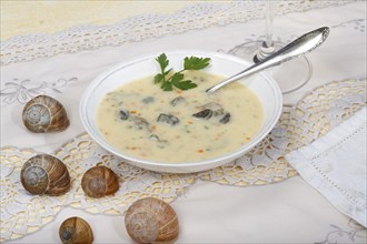 Baden cuisine, snail soup, typical Baden, vineyard snail shell, snail shells, parsley, spoon, soup