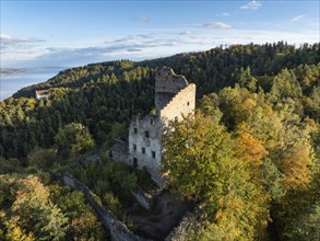 Aerial view of the ruins of Altbodman on the Bodanrück, above the village of Bodman in autumn