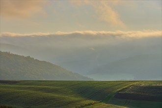 Atmospheric landscape at dawn with green fields and hills in the fog, autumn, Eichelsbach,