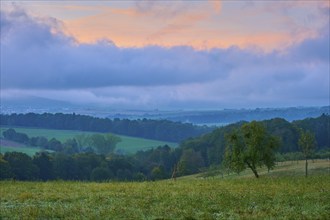 A peaceful natural landscape with green meadows, trees and an atmospheric sky at sunrise, autumn,