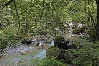 Seisenbergklamm gorge, natural monument, Pinzgau, Salzburger Land, Austria, Europe