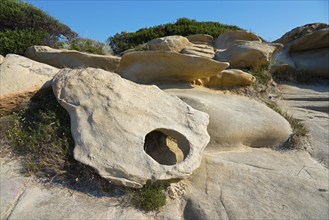 Eroded rock formations on a coastline with plants and clear sky in the background, Karidi beach,