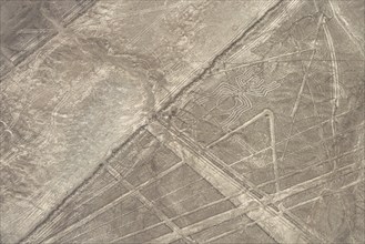 Aerial, The Spider, Nazca geoglyph, Nazca Lines, Nazca, Peru, South America