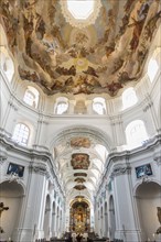 Neumünster Collegiate Monastery, Würzburg, Lower Franconia, Franconia, Bavaria, Germany, Europe