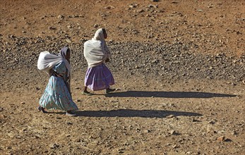 Tigray region, locals on their way home across dry fields, Ethiopia, Africa