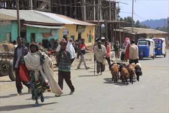 In the highlands of Abyssinia, in the Semien Mountains, Semien Mountains, village of Debark, street